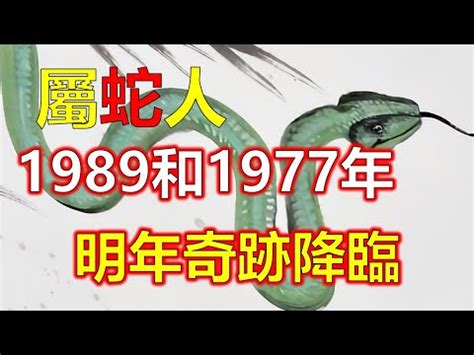 1989蛇|1989年的屬蛇人是什麼命？什麼年齡開始享福？特別准！